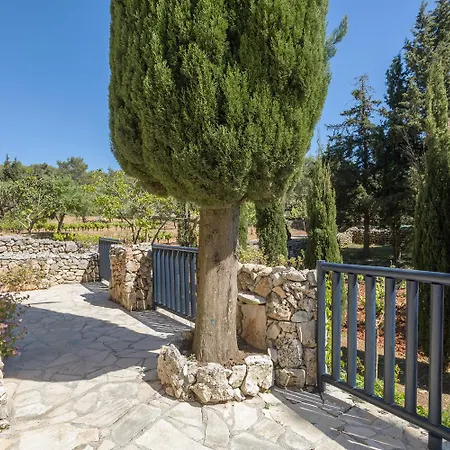 Nephos Holiday home Agios Nikolaos (Zakynthos)